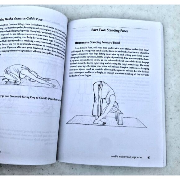 Mindful Motherhood: Practical Tools for Staying Sane During Pregnancy & First Yr - Picture 6 of 6